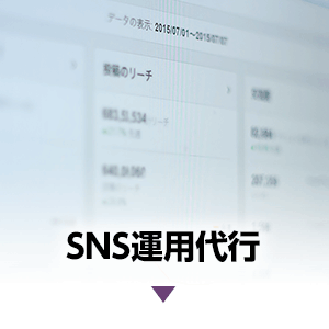 SNS運用代行