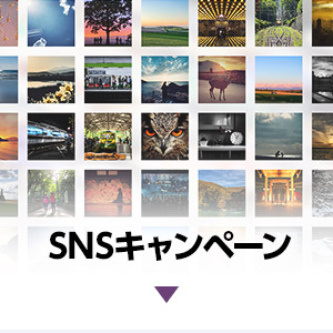 SNSキャンペーン