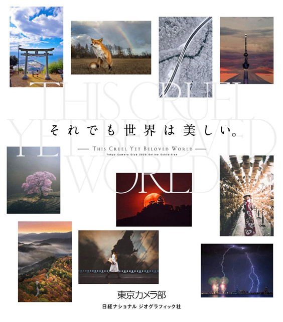 それでも世界は美しい。