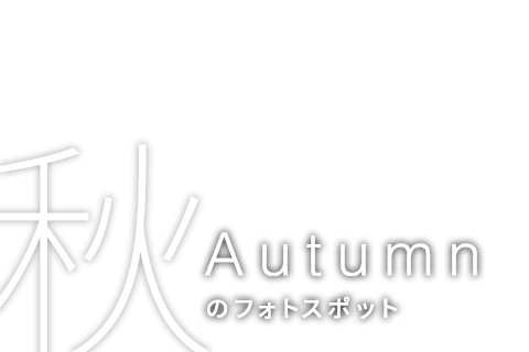 秋のフォトスポット