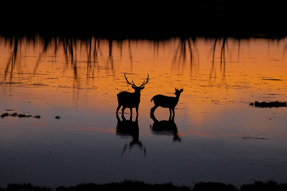 ナラワラ　秋のおすすめフォト3