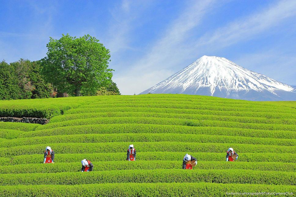 東京カメラ部、「写真好きによる日本全国の撮影地人気ランキング」2024年データを更新！ 写真好きに最も人気の都道府県とは？