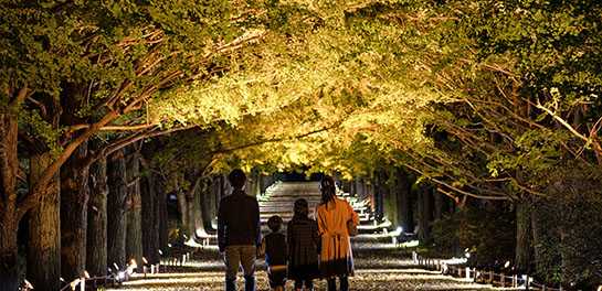 ライトアップ施策