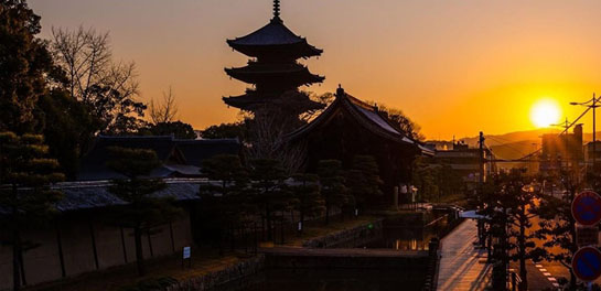 ライトアップ施策