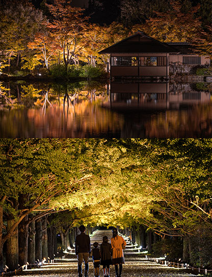 ナイトタイムエコノミー取り組み事例