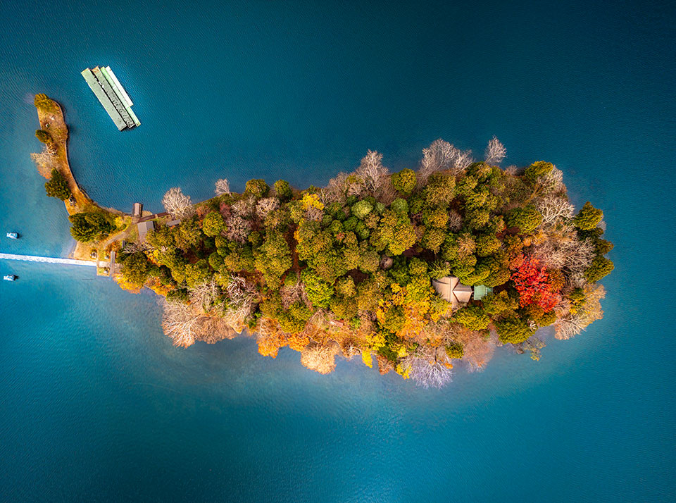 協賛賞（ファイブアローズ賞）　大村博明(ヒロ店長)さんの作品「野尻湖の鯨」