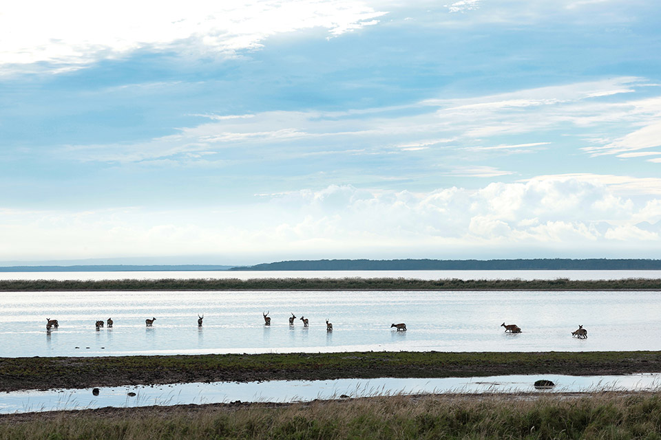 「絶景部門」入賞　Atsuko Kawaguchiさんの作品「秋風が優しく」