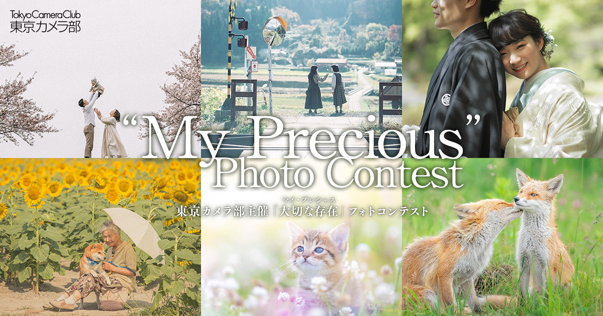 "My Precious" Photo Contest | 東京カメラ部2020写真展 Online Exhibition