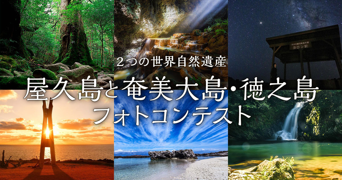 ２つの世界自然遺産 屋久島と奄美大島・徳之島 フォトコンテスト｜鹿児島県×東京カメラ部