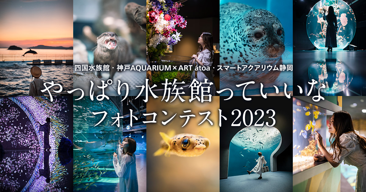 四国水族館・神戸AQUARIUM×ART átoa・スマートアクアリウム静岡 やっぱり水族館っていいなフォトコンテスト2023｜四国水族館・神戸AQUARIUM×ART átoa・スマートアクアリウム静岡×東京カメラ部