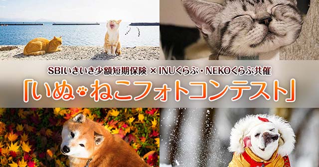 SBIいきいき少額短期保険×INUくらぶ・NEKOくらぶ共催「いぬ・ねこフォトコンテスト」