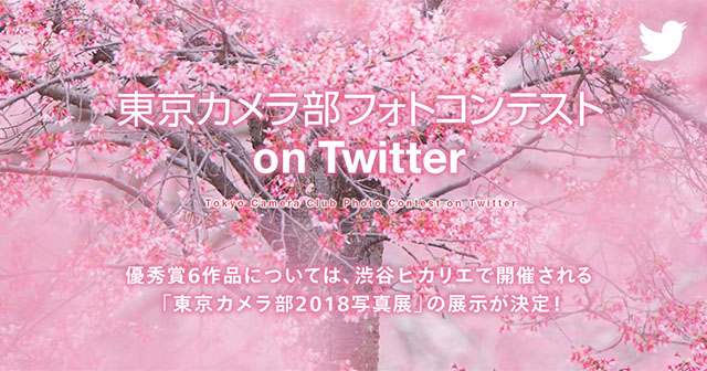 Twitter Japan×東京カメラ部フォトコンテスト 
