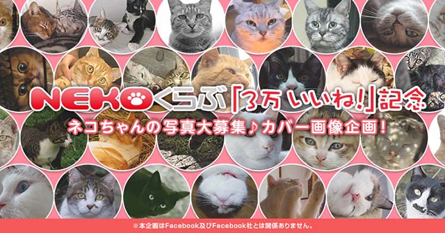 NEKOくらぶ：NEKOくらぶ「3万いいね！」記念　カバー画像作品募集企画 