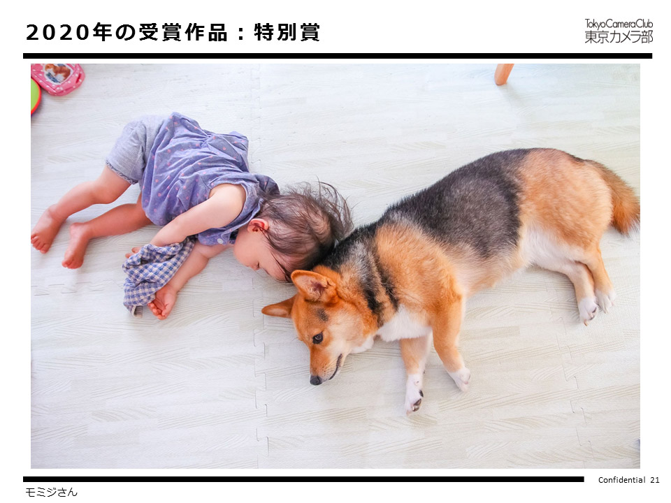 2020年の受賞作品：特別賞