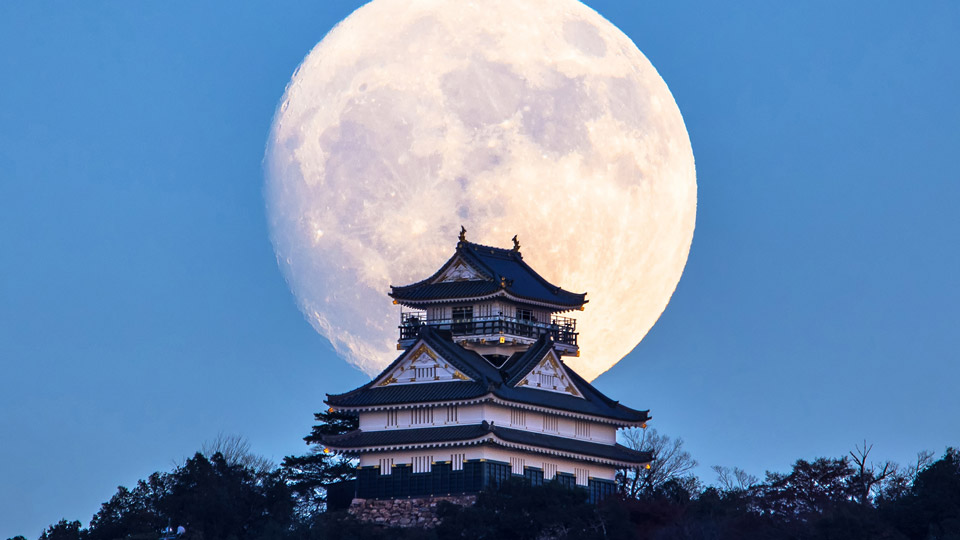 岐阜市 様／岐阜県・一般社団法人 岐阜県観光連盟 様