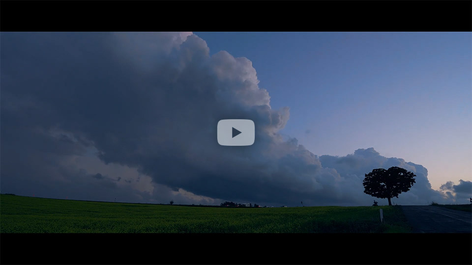 優秀賞　donchanさんの作品「NO BIEI NO LIFE」