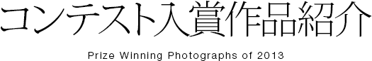 コンテスト入賞作品紹介