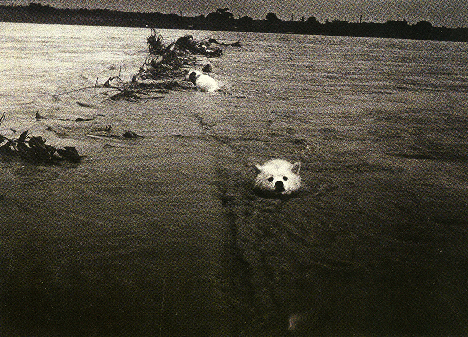 東京カメラ部2015写真展ニコンイメージングジャパントークショーイベント「楽園 ～三好和義が語る“魅せる”写真の秘密～」三好和義