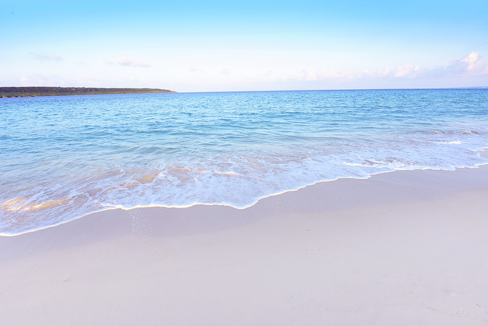 東京カメラ部2015写真展ニコンイメージングジャパントークショーイベント「楽園 ～三好和義が語る“魅せる”写真の秘密～」三好和義