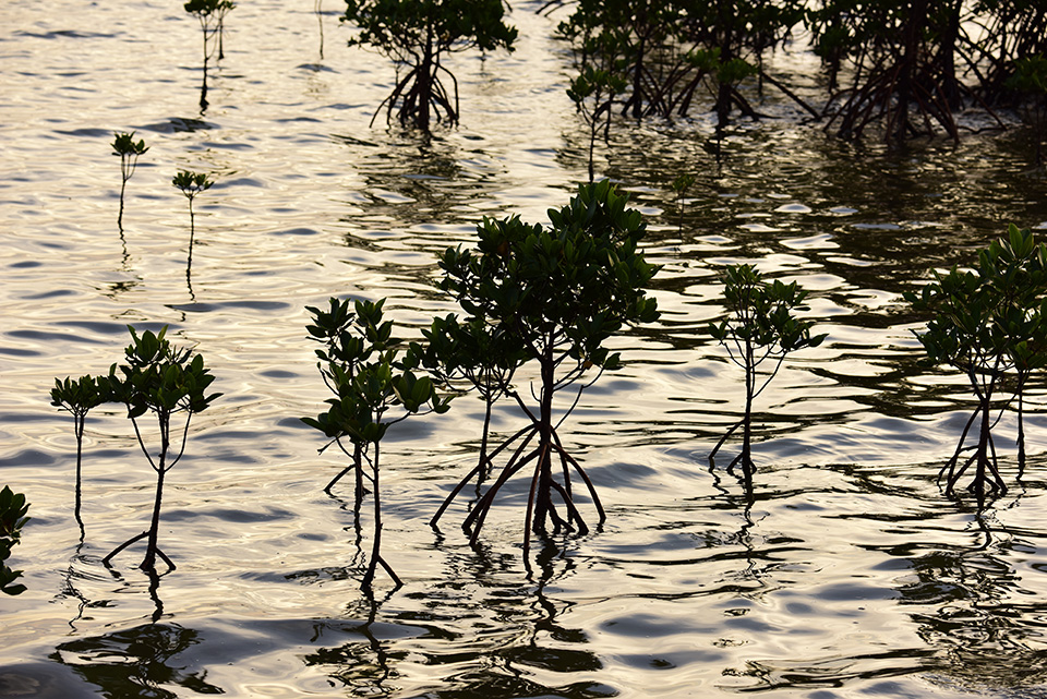 東京カメラ部2015写真展ニコンイメージングジャパントークショーイベント「楽園 ～三好和義が語る“魅せる”写真の秘密～」三好和義