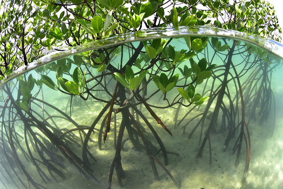 東京カメラ部2015写真展ニコンイメージングジャパントークショーイベント「楽園 ～三好和義が語る“魅せる”写真の秘密～」三好和義