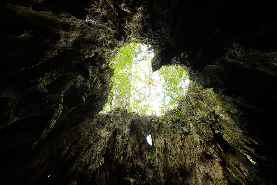 東京カメラ部2015写真展ニコンイメージングジャパントークショーイベント「楽園 ～三好和義が語る“魅せる”写真の秘密～」三好和義