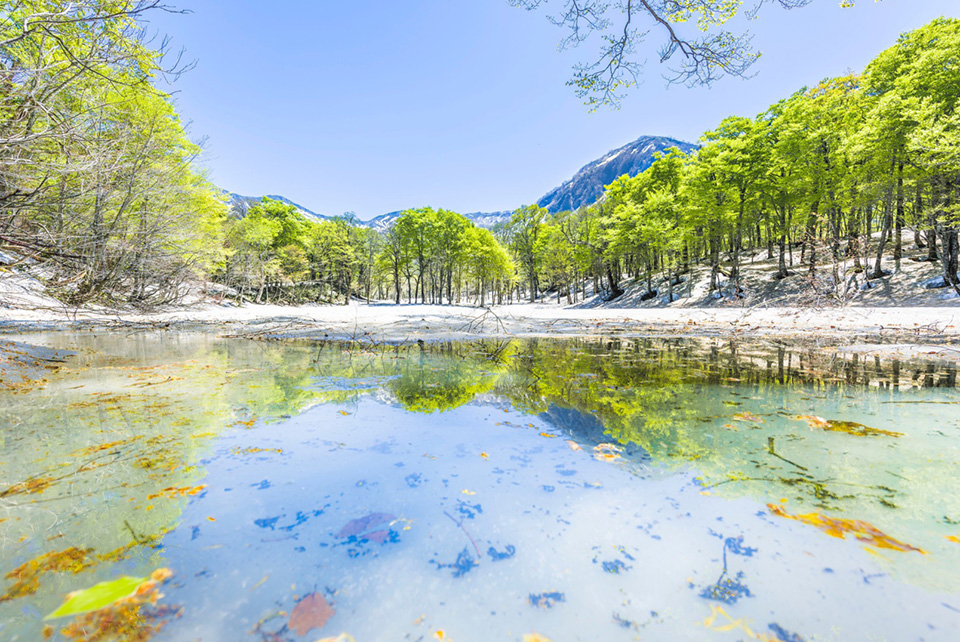 東京カメラ部2015写真展ニコンイメージングジャパントークショーイベント 東京カメラ部10選　菊池英俊×Jason Arney×別所隆弘