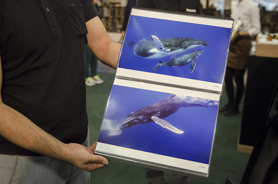 東京カメラ部2015写真展 Panasonicブース