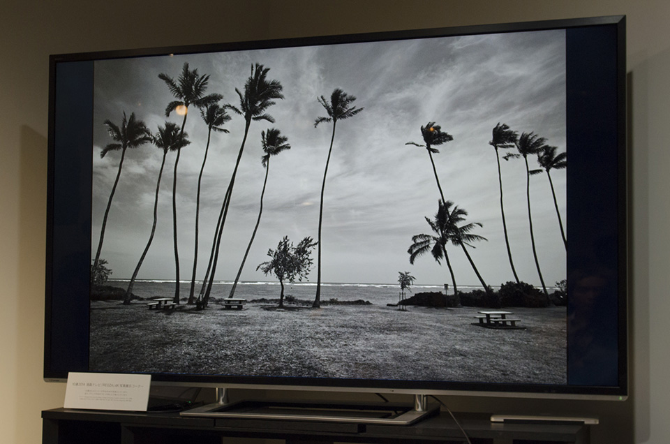 東京カメラ部2015写真展シグマトークショーイベント「dp Quattro 4兄弟　どれを持つのが幸せになれるか？」塙真一