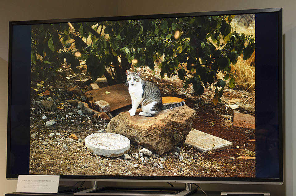 東京カメラ部2015写真展シグマトークショーイベント「dp Quattro 4兄弟　どれを持つのが幸せになれるか？」塙真一