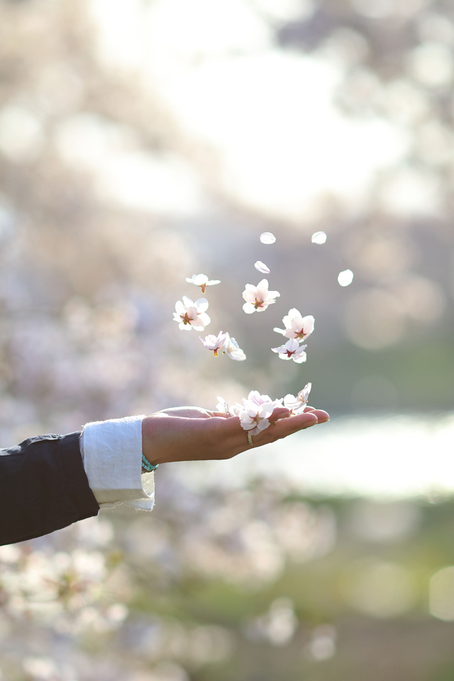 東京カメラ部10選 柄木孝志、工藤悦子、八木千賀子 × EOS 80Dパンフレットチャレンジ「スペシャルトーク」