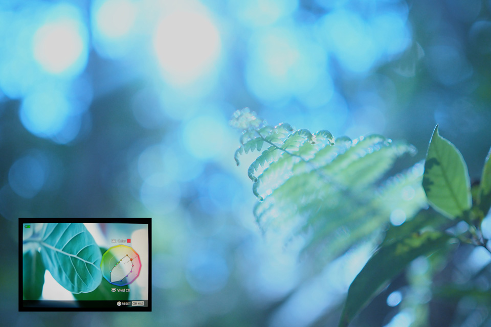 山本まりこ「OLYMPUS PEN-Fで作品作り　～エアリーカラーのつくり方『熊野古道を歩いています・中辺路』～」