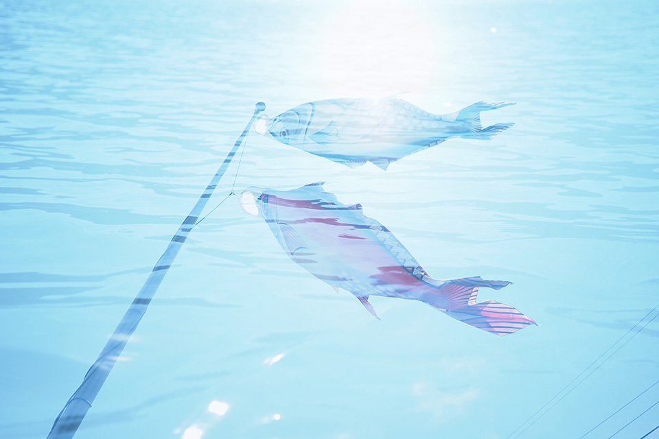 山本まりこ「OLYMPUS PEN-Fで作品作り　～エアリーカラーのつくり方『熊野古道を歩いています・中辺路』～」