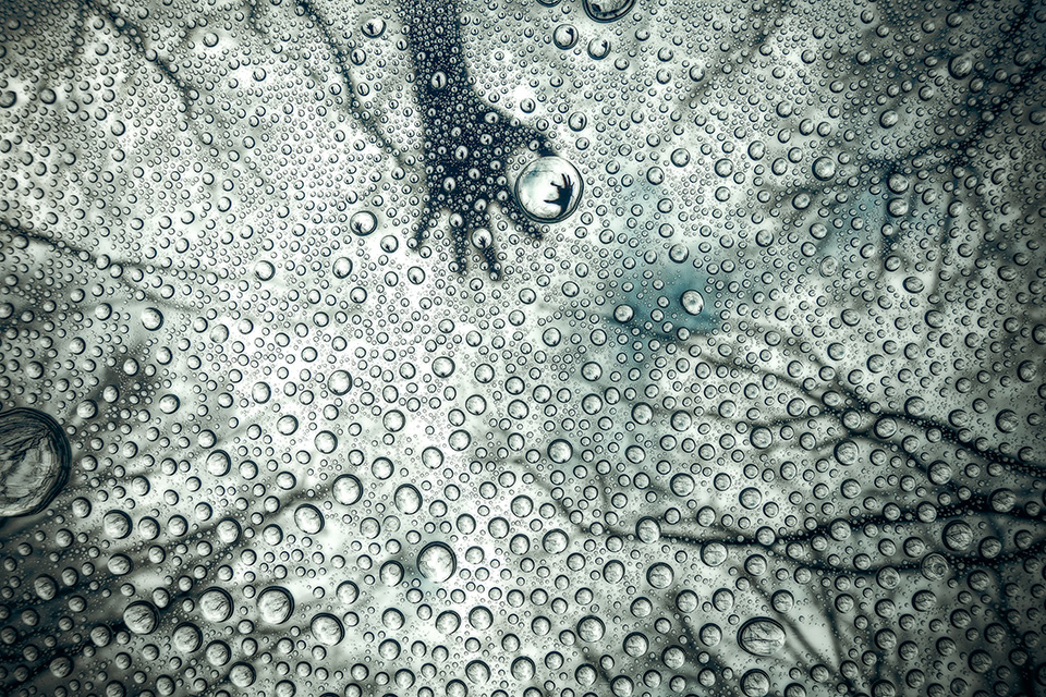 カメラマン 山岸伸×東京カメラ部10選 菊池賢二、黒田明臣、富久浩二、松永亨「写真表現の可能性」