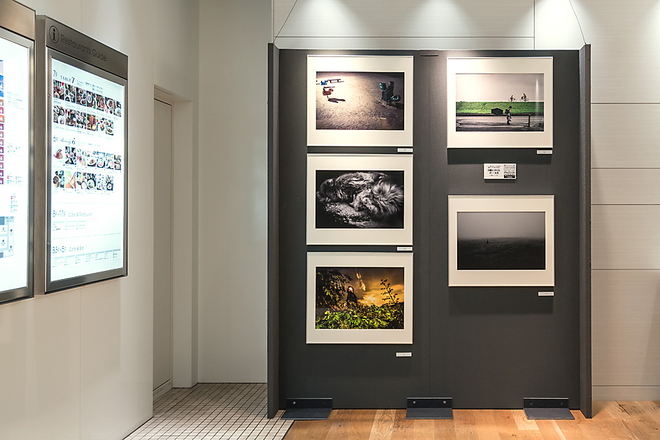 写真展の様子：東京カメラ部2015写真展