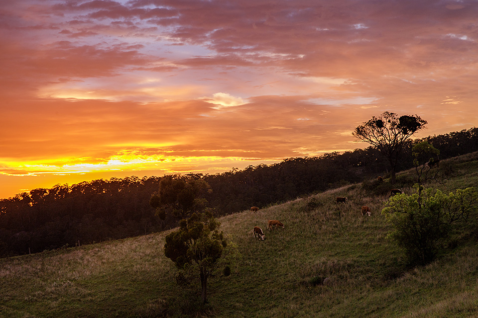 アメリカン・エキスプレス 東京カメラ部10選 浅岡省一氏、八木千賀子氏 「東京カメラ部10選がみた世界 by アメリカン・エキスプレス」