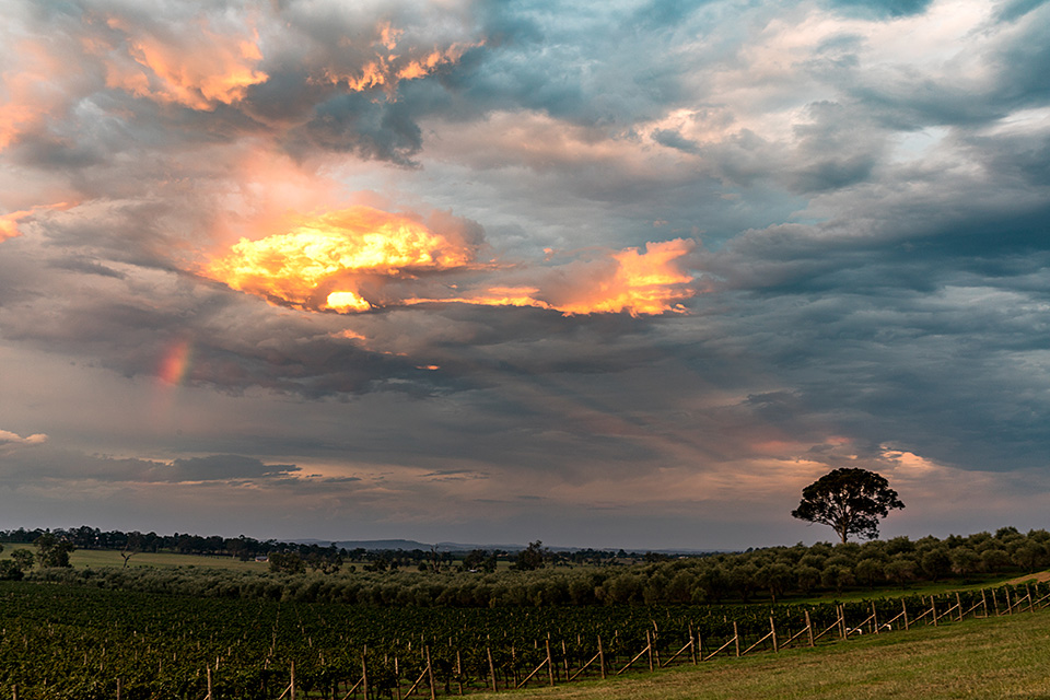 アメリカン・エキスプレス 東京カメラ部10選 浅岡省一氏、八木千賀子氏 「東京カメラ部10選がみた世界 by アメリカン・エキスプレス」