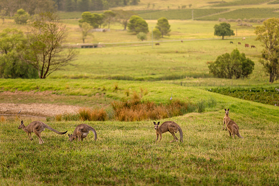 アメリカン・エキスプレス 東京カメラ部10選 浅岡省一氏、八木千賀子氏 「東京カメラ部10選がみた世界 by アメリカン・エキスプレス」