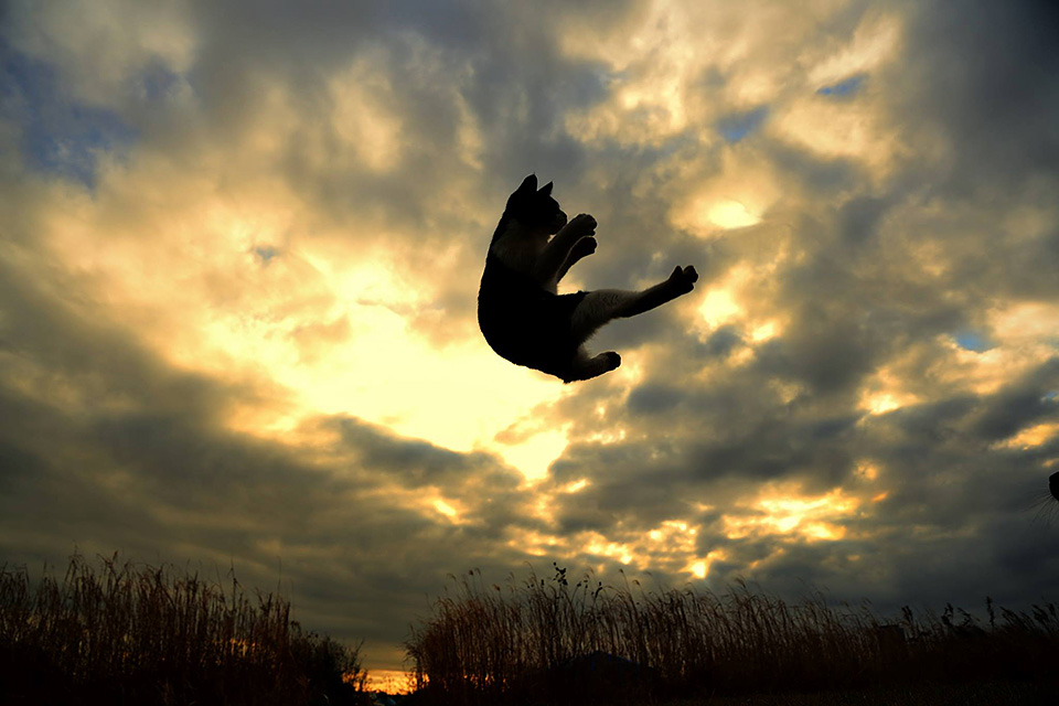 アサヒカメラ 編集長 佐々木広人 × 東京カメラ部運営「いま撮影者が気になる疑問に答える～著作権と審査～」