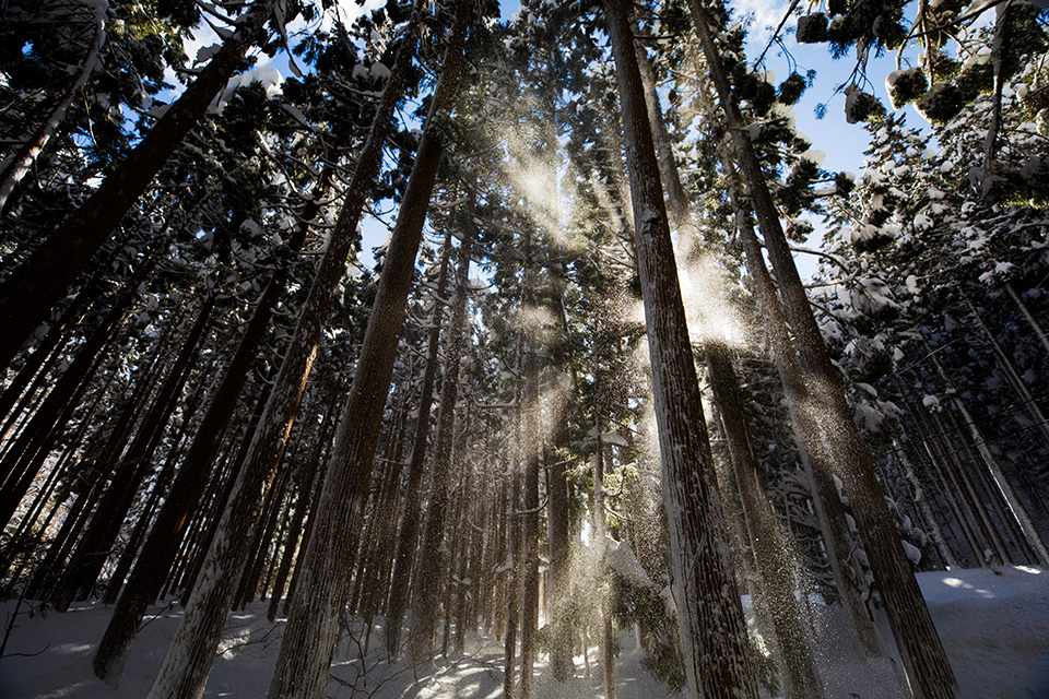 キヤノンマーケティングジャパン　東京カメラ部10選 柄木孝志「EOS 5D Mark IVで撮る日本の美しい村」