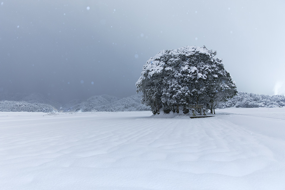 キヤノンマーケティングジャパン　東京カメラ部10選 柄木孝志「EOS 5D Mark IVで撮る日本の美しい村」