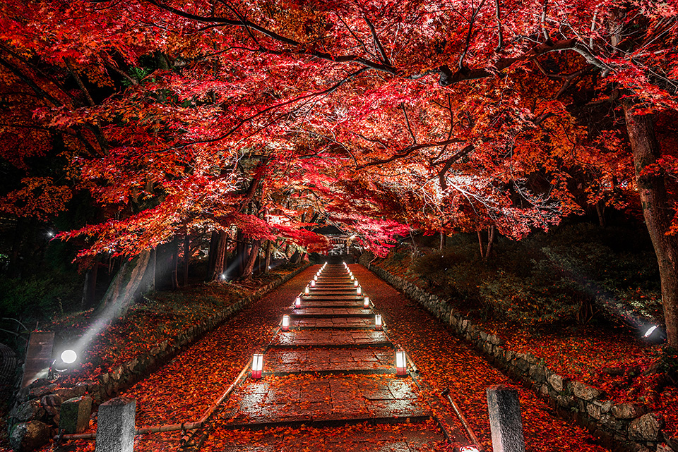 東京カメラ部10選 黒田明臣、別所隆弘「10選によるポートレート、風景現像講座」