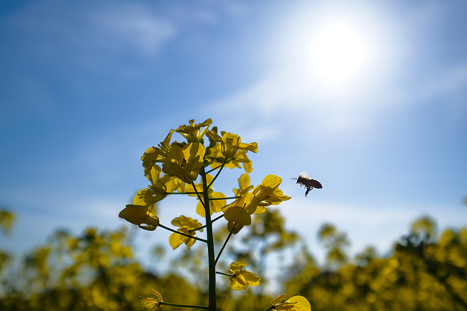 富士フイルム 東京カメラ部10選 原 朋士氏、和-KAZU-氏 × 富士フイルム 岡田昌幸氏、東京カメラ部運営「東京カメラ部10選が語るXシリーズの魅力」