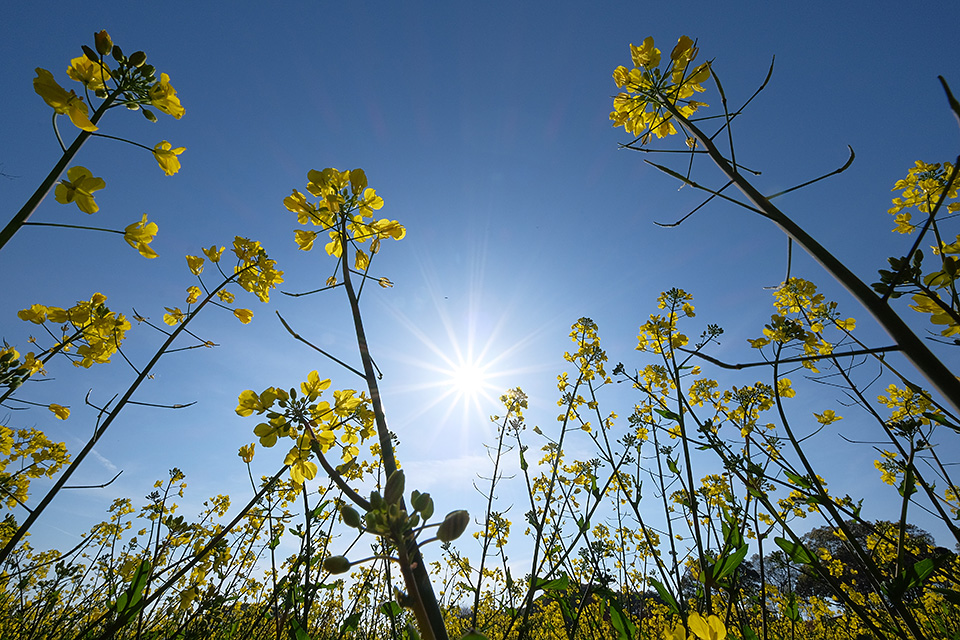 富士フイルム 東京カメラ部10選 原 朋士氏、和-KAZU-氏 × 富士フイルム 岡田昌幸氏、東京カメラ部運営「東京カメラ部10選が語るXシリーズの魅力」