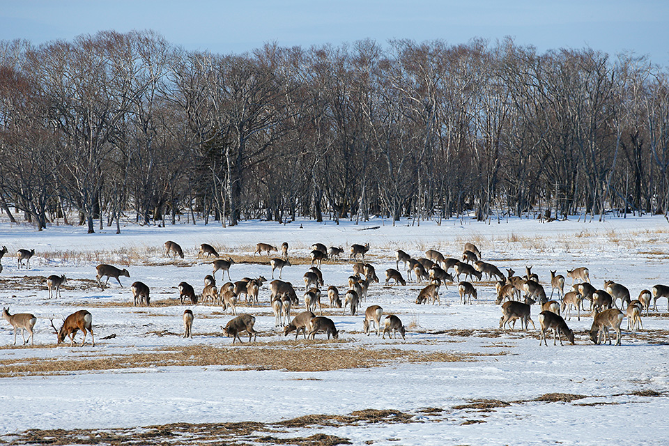 特別企画 衆議院議員 石破茂(元国務大臣 地方創生・国家戦略特別区域担当) × 東京カメラ部10選 柄木孝志「写真による地方創生」
