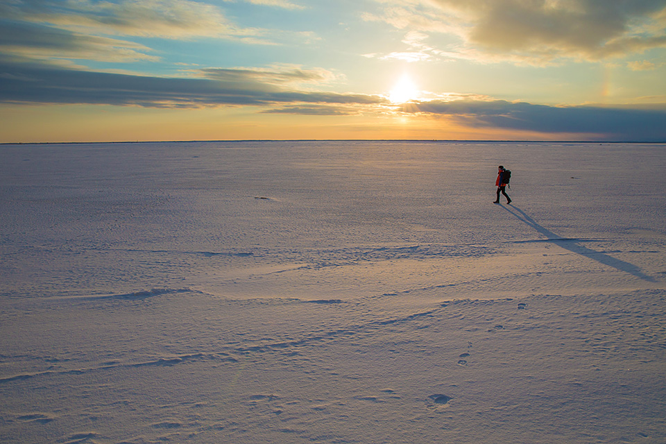 特別企画 衆議院議員 石破茂(元国務大臣 地方創生・国家戦略特別区域担当) × 東京カメラ部10選 柄木孝志「写真による地方創生」