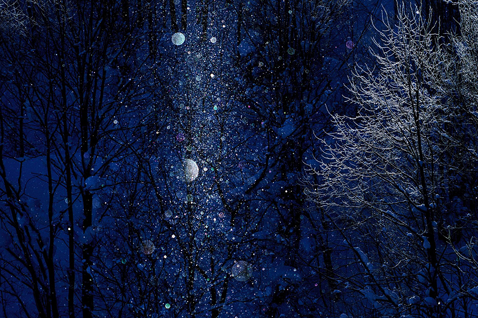 東京カメラ部10選 井上浩輝、黒田明臣、小林修士、和-KAZU- × 東京カメラ部運営「人生を変えた1枚。人生を変える1枚。」