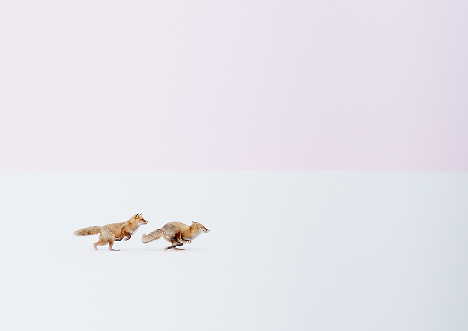 東京カメラ部10選 井上浩輝、黒田明臣、小林修士、和-KAZU- × 東京カメラ部運営「人生を変えた1枚。人生を変える1枚。」