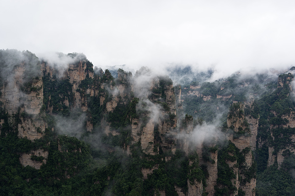 日経ナショナル ジオグラフィック社 出版ディレクター 尾崎憲和氏 × 東京カメラ部10選 浅岡省一氏、Kyon.J氏、 八木千賀子氏 × 東京カメラ部運営「人生を変えた写真」