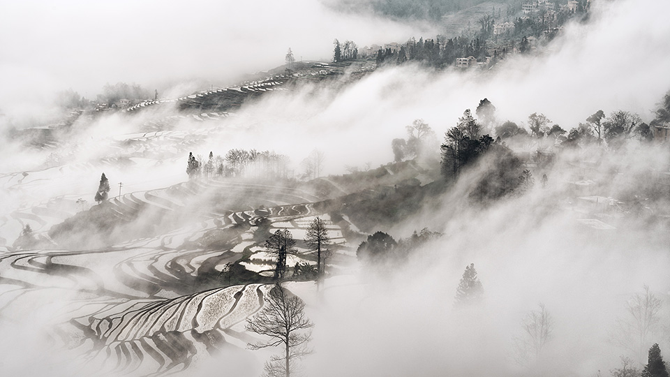 日経ナショナル ジオグラフィック社 出版ディレクター 尾崎憲和氏 × 東京カメラ部10選 浅岡省一氏、Kyon.J氏、 八木千賀子氏 × 東京カメラ部運営「人生を変えた写真」